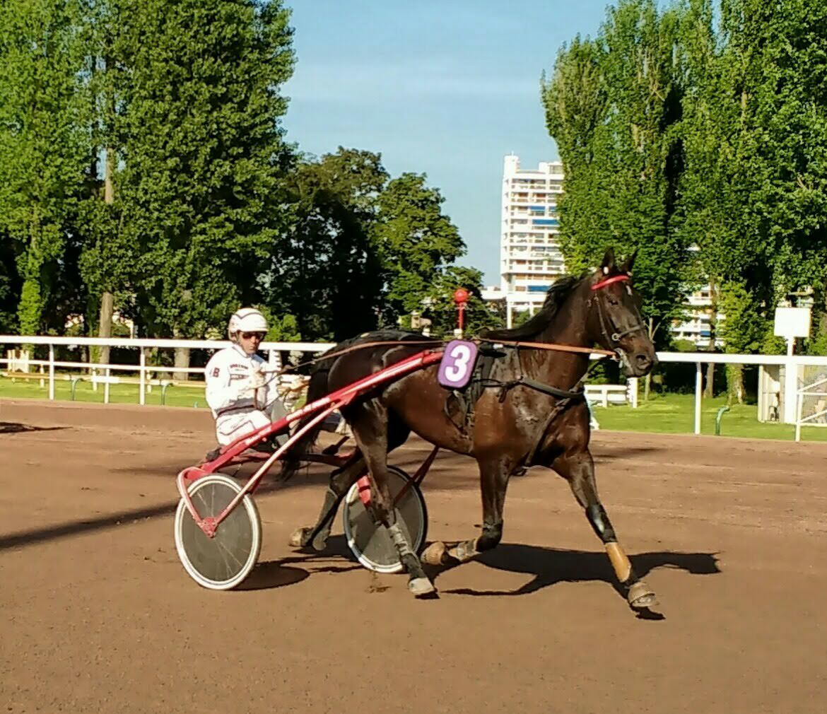 Photo n° 1 de l'avis de PatEric.e fait le 27/05/2018 à 09:11