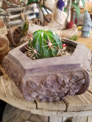 Florist «Little Flower Shop», reviews and photos, 616 High St, Delano, CA 93215, USA