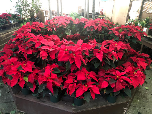 Florist «Grohe Florists», reviews and photos, 1313 McDonald Ave, Santa Rosa, CA 95404, USA