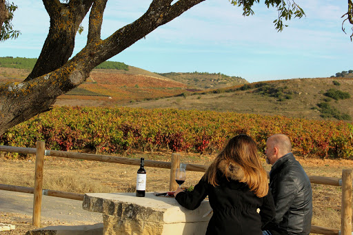 Sensum Rioja Tours en Logroño