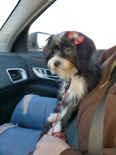 Pet Supply Store «PetSmart», reviews and photos, 15 Dowling Village Boulevard, North Smithfield, RI 02896, USA