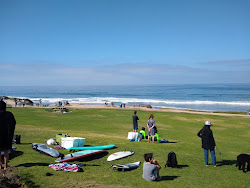 Photo de Powerhouse beach - endroit populaire parmi les connaisseurs de la détente