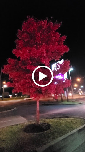 Donut Shop «Krispy Kreme», reviews and photos, 1901 Gallatin Pike N, Madison, TN 37115, USA