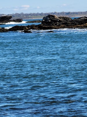 Sachuest Point National Wildlife Refuge - photo 39