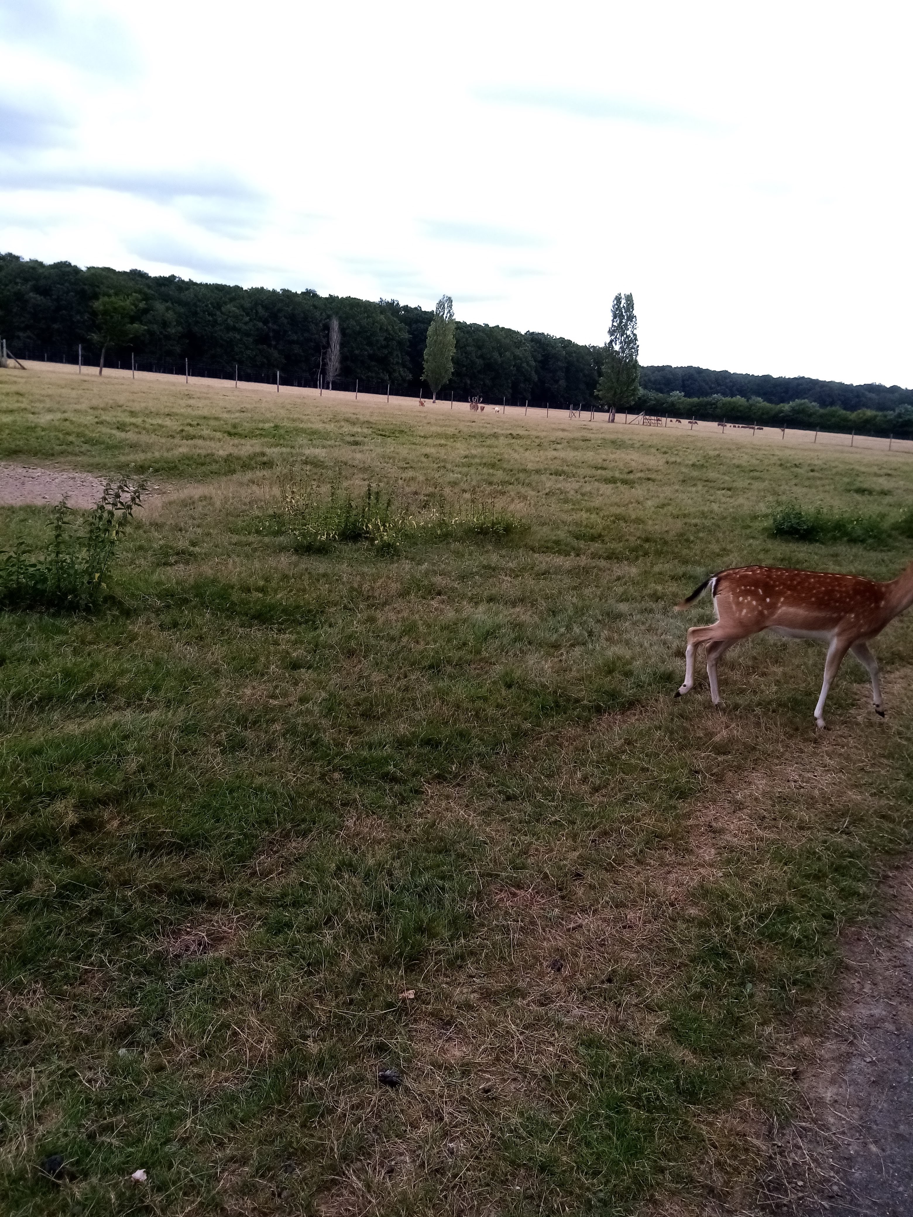 Photo n° 6 de l'avis de Aurelie.u fait le 17/08/2021 à 19:49