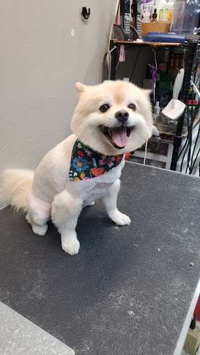 Pet Groomer «Pretty Paws Salon & Spa», reviews and photos, 604 S 77 Sunshine Strip, Harlingen, TX 78550, USA