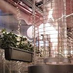 Photo n°1 de l'avis de Eva.r fait le 19/01/2024 à 23:41 sur le  Trattoria D'Azeglio à Rome