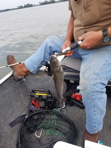 Pet Store «Big Heart Pet Brands», reviews and photos, 1200 Market St NE, Decatur, AL 35601, USA