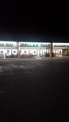 Dollar Store «Dollar Tree», reviews and photos, 2654 Belvidere Rd, Waukegan, IL 60085, USA