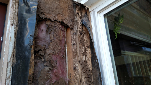 Pest Control Service «Universal Pest & Termite», reviews and photos