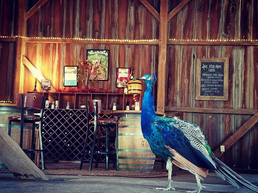 Winery «Knob Hall Winery», reviews and photos, 14108 St Paul Rd, Clear Spring, MD 21722, USA