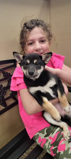 Pet Supply Store «Pet Ranch», reviews and photos, 3823 E 120th Ave, Denver, CO 80233, USA