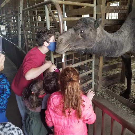 Barnyard Petting Zoo image 2