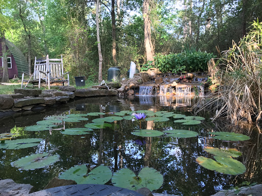 Yoga Studio «Houston Yoga Ayurvedic Wellness Center LLC», reviews and photos, 13602 Kluge Rd, Cypress, TX 77429, USA