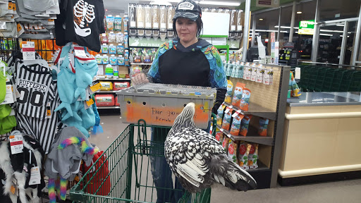 Pet Supply Store «Pet Supplies Plus», reviews and photos, 5230 S Westnedge Ave, Portage, MI 49002, USA