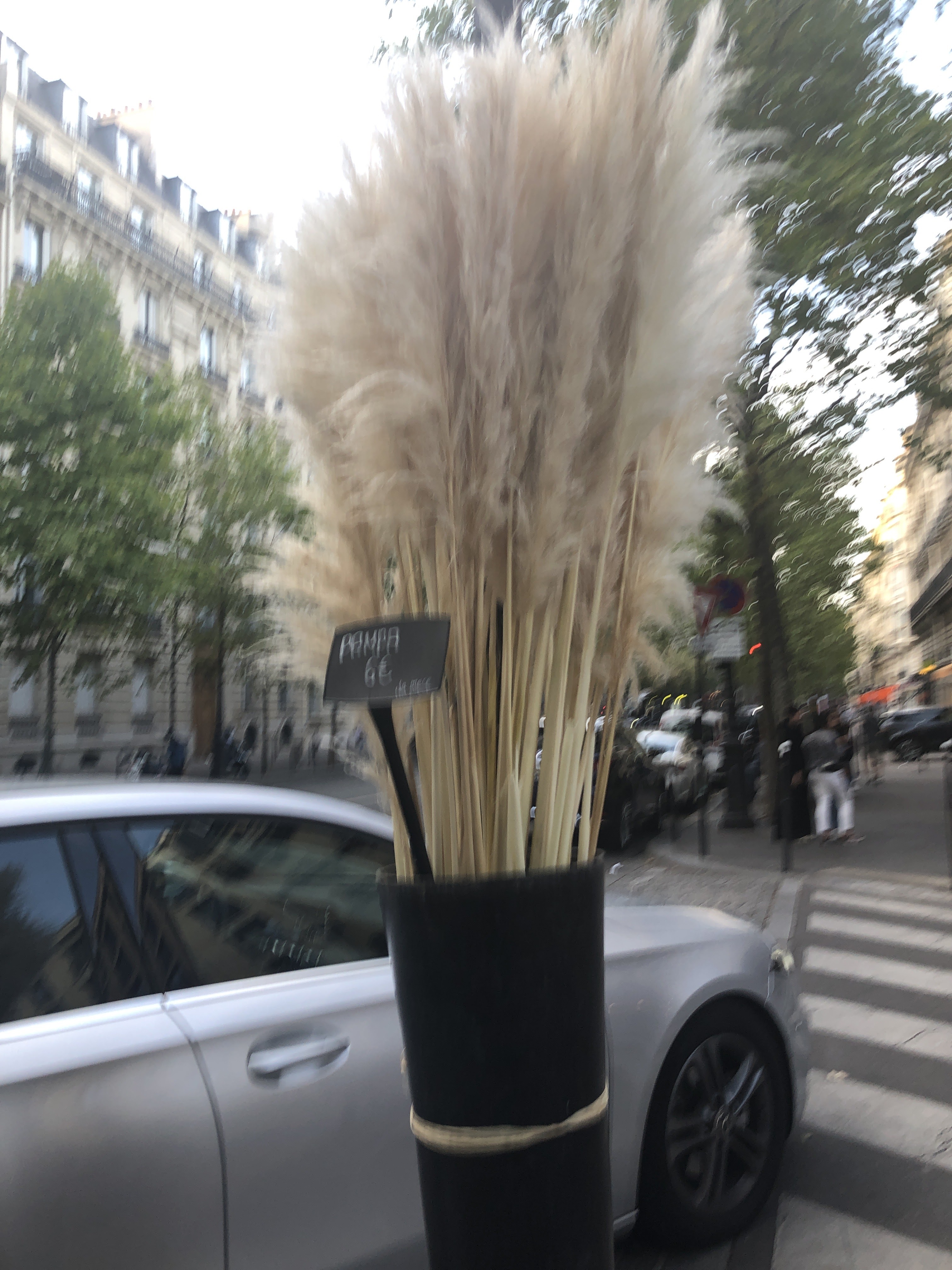 Photo n° 2 de l'avis de Mia.e fait le 03/09/2022 à 17:42