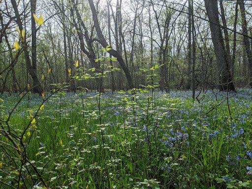 Park «Bull Run Regional Park», reviews and photos, 7700 Bull Run Dr, Centreville, VA 20121, USA