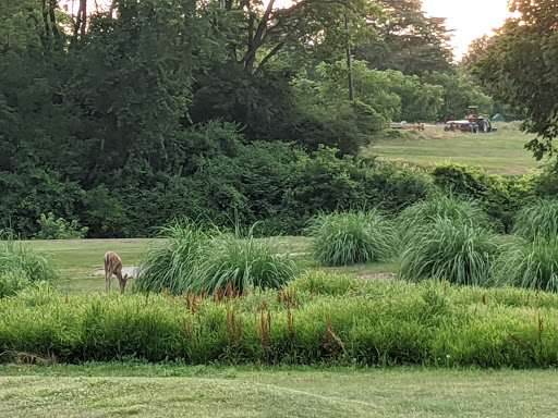 Park «Rouge Park», reviews and photos, Joy Rd, Detroit, MI 48228, USA