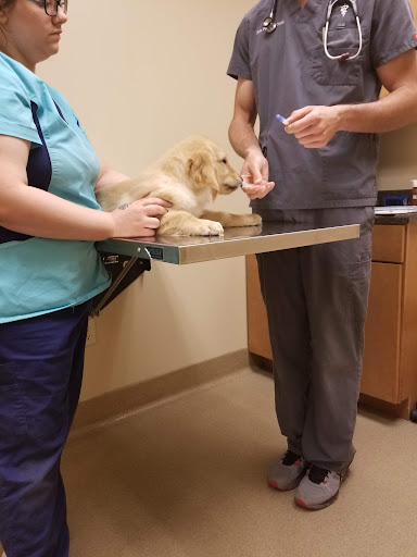 East Suburban Animal Clinic image