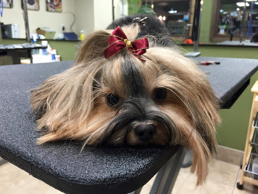 Pet Store «Earthwise Pet - Southlake», reviews and photos, 100 W Southlake Blvd #150, Southlake, TX 76092, USA