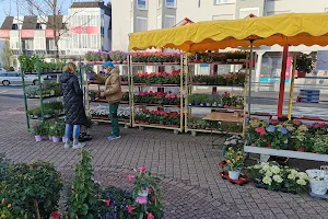 Wochenmarkt image