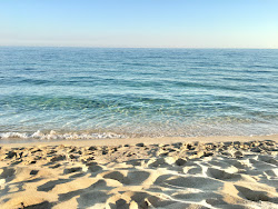 Torre Colimena beach'in fotoğrafı doğal alan içinde bulunmaktadır