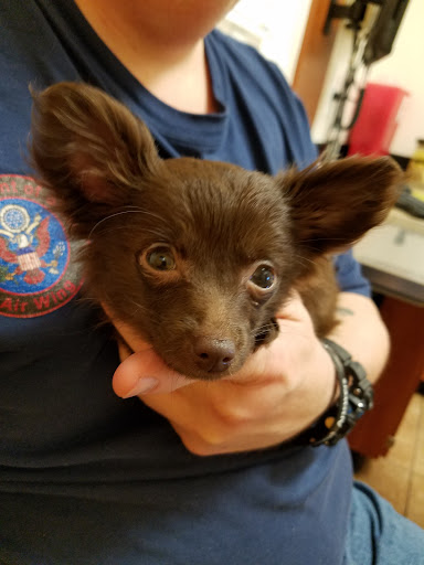 Pet Supply Store «PetSmart», reviews and photos, 1800 Evans Rd, Melbourne, FL 32904, USA