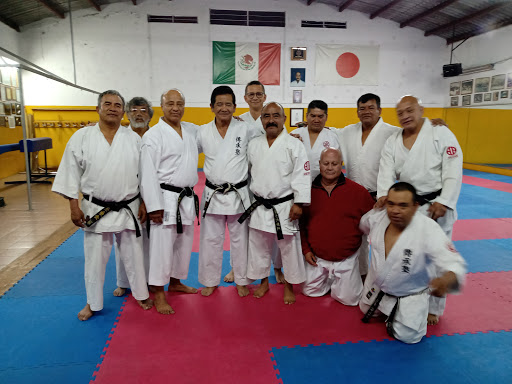 Taekwondo gyms in Puebla
