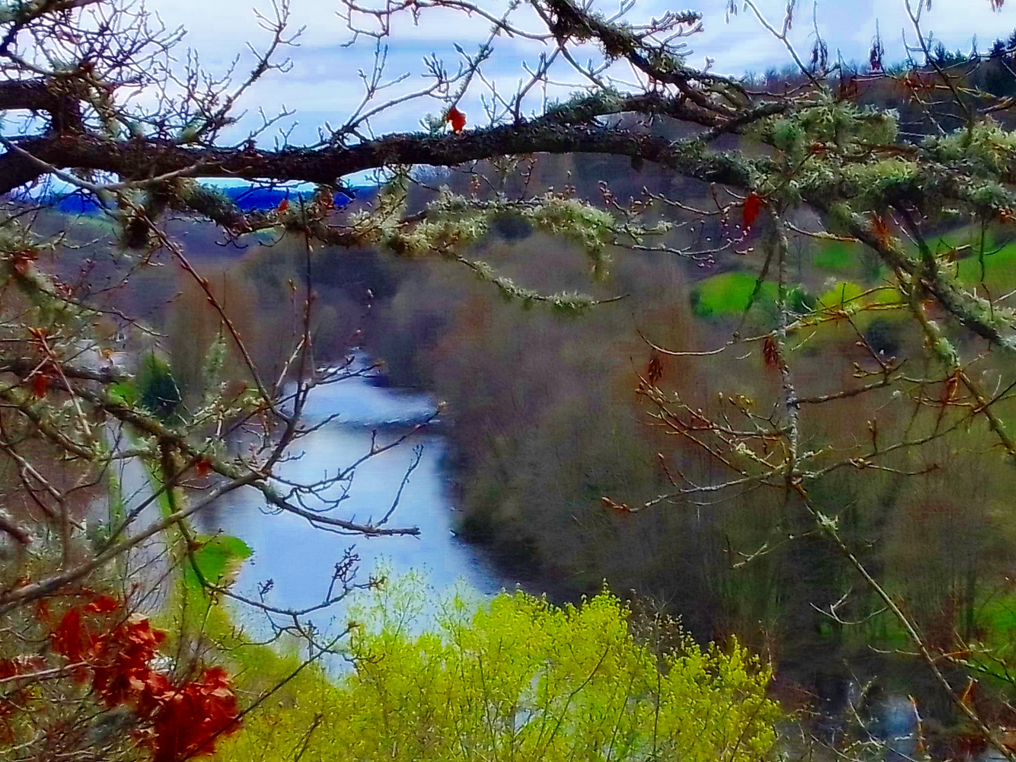 Photo n° 4 de l'avis de Gérard.e fait le 10/04/2023 à 15:40