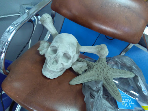 Explore scar cover up tattoo ideas, creative tattoo ideas in Bradenton, available at Memory Lane Tattoo Co.