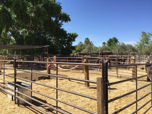 Zoo «Jr Pony Parties», reviews and photos, 1744 N Leonard Ln, Las Vegas, NV 89108, USA