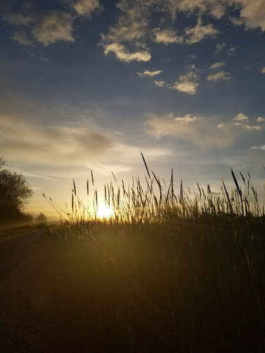 Park «Mitchell Hollow Park», reviews and photos, 6400 W 10250 N, Highland, UT 84003, USA