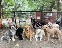 Mr. Pups Pet Care - Car repair in Seattle, WA, Seattle - Rated 5.0/5