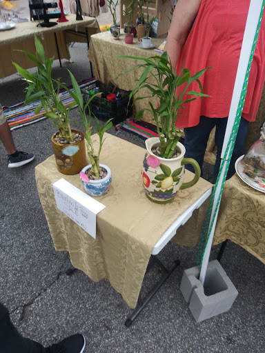 Tattoo Shop «Tattoo Lady», reviews and photos, 6817 Kennedy Ave, Hammond, IN 46323, USA