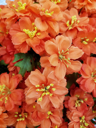 Craft Store «Michaels», reviews and photos, 359 Carroll St, Fort Worth, TX 76107, USA