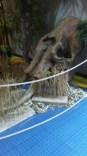 Tourist Attraction «IMAG History & Science Center (formerly Imaginarium Science Center)», reviews and photos, 2000 Cranford Ave, Fort Myers, FL 33916, USA