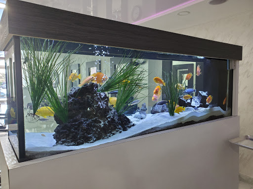 Hair Salon «GP Hair Salon & Day Spa», reviews and photos, 2711 Coney Island Ave, Brooklyn, NY 11235, USA