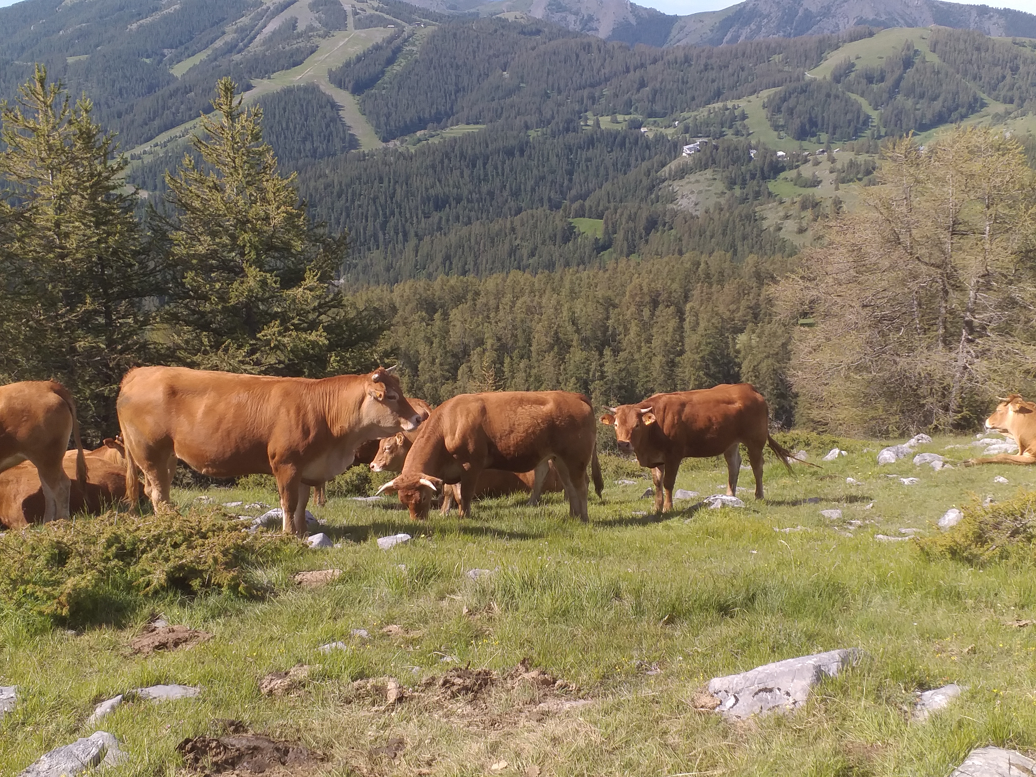 Photo n° 4 de l'avis de Rich.e fait le 21/06/2020 à 13:01