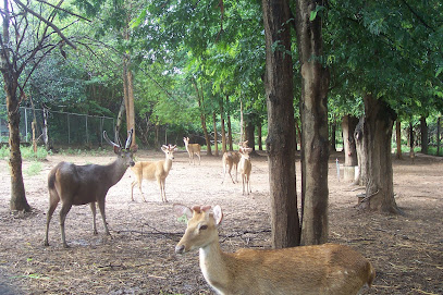 ศูนย์เพาะเลี้ยงและขยายพันธุ์สัตว์ป่า cultivation and propagation Center