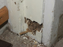 Best Miami Pest Control Service - Photo 6 - Car repair in , Miami