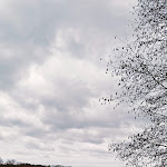 Photo n°2 de l'avis de Svend.e fait le 07/01/2024 à 22:36 sur le  Woltersdorfer Schleuse à Woltersdorf