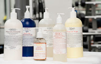 Elevate Health & Performance - Photo 3 - Car repair in Philadelphia, PA, Philadelphia