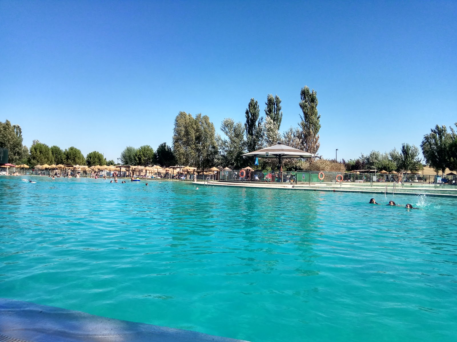Pool Playas del Vicario photo #6