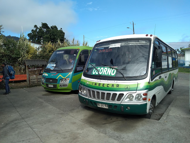 Opiniones de Terminal De Buses Lago Ranco en Lago Ranco - Servicio de transporte