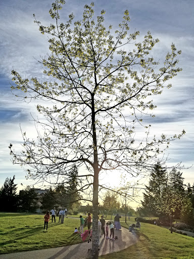 Park «Crossroads Water Spray Playground», reviews and photos, 999 165th Ave NE, Bellevue, WA 98008, USA
