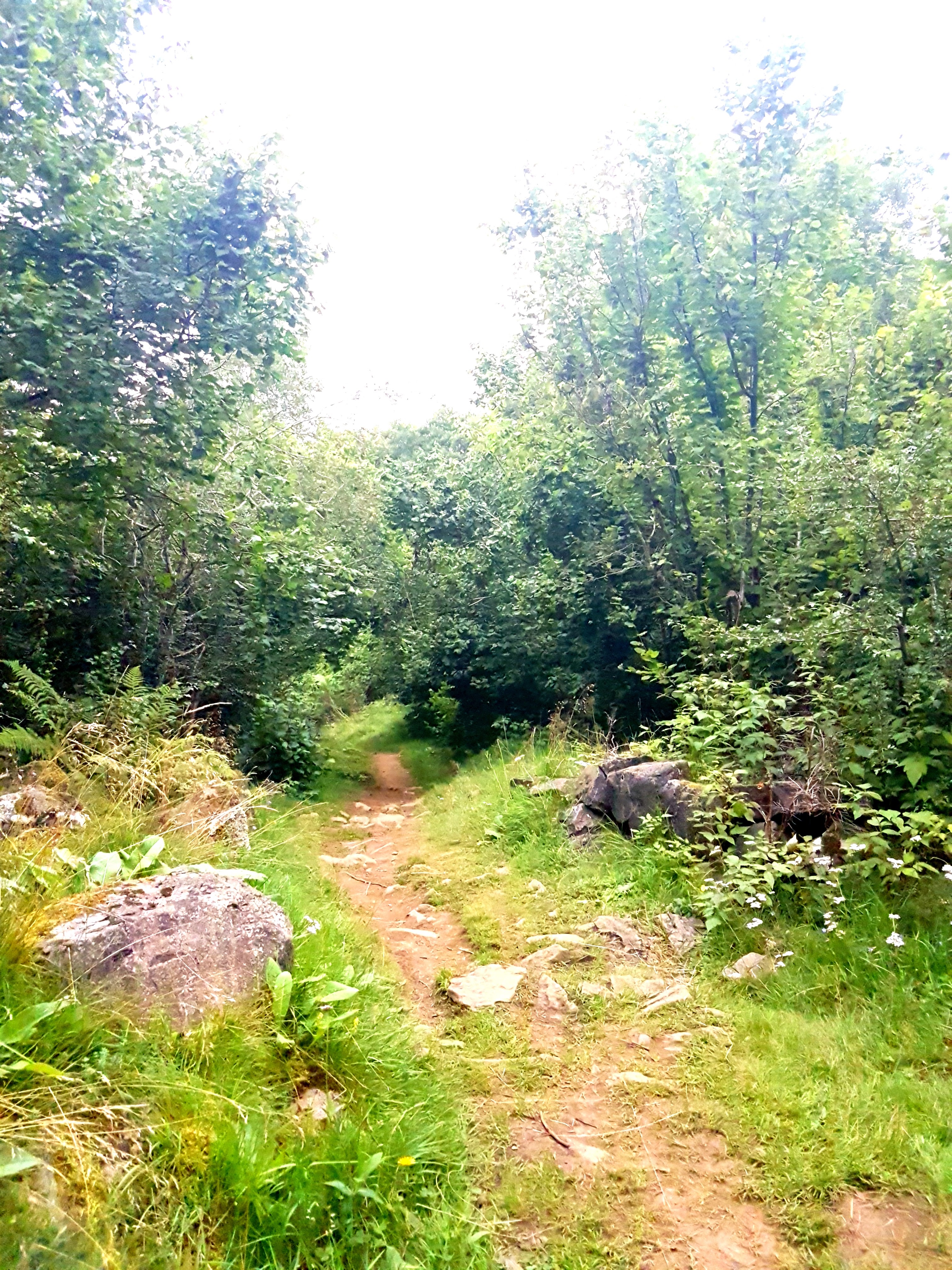 Photo n° 1 de l'avis de La.u fait le 24/08/2021 à 09:36