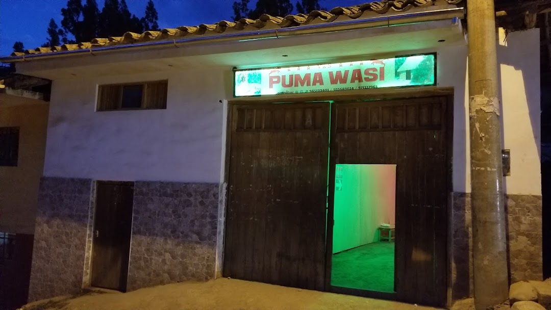 Puma Wasi