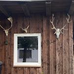 Photo n°4 de l'avis de Emma.i fait le 26/07/2023 à 11:25 sur le  Gasthof Zum Goldenen Löwen à Mönkebude