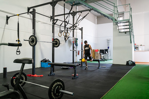 Z Fight Academy en Palmera, Valencia