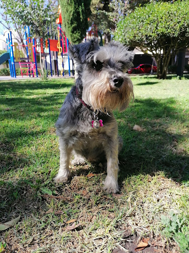 Parque Mansiones del Valle